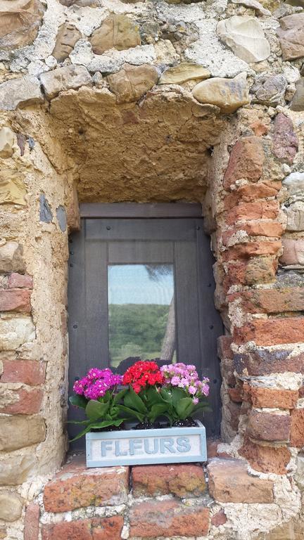 Agriturismo Bronzivalle Riotorto Kültér fotó